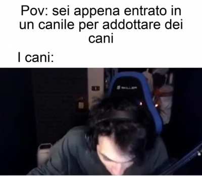 da stalla a canile &egrave; un attimo