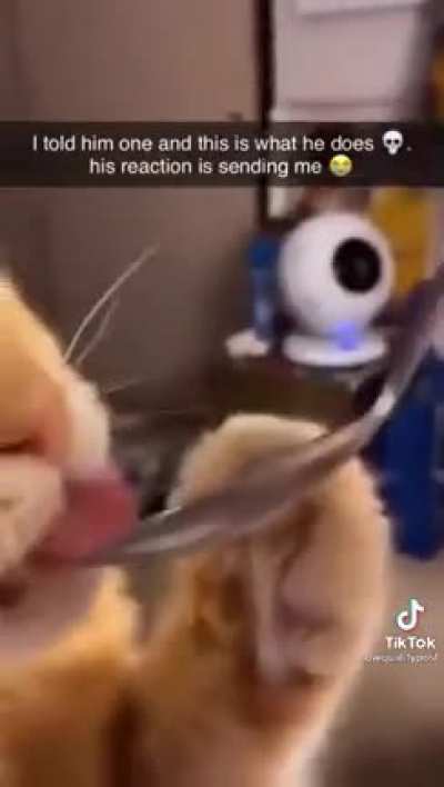 One bite