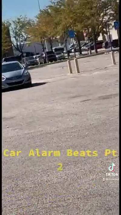 Car Alarm Beats Pt. 2