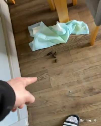 caught with fresh evidence