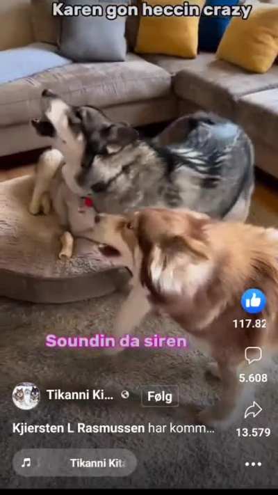 Sound the siren
