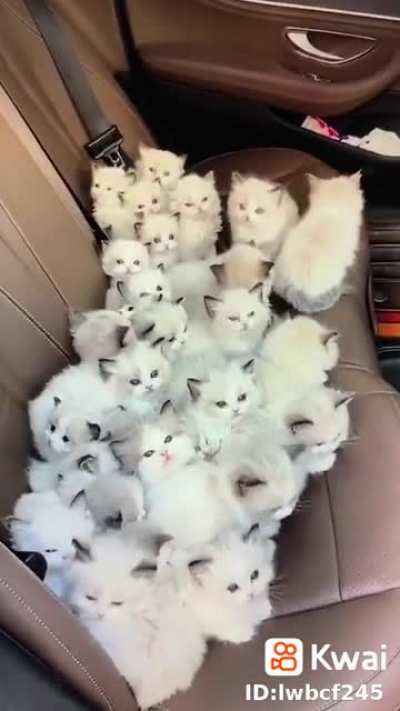 So cute