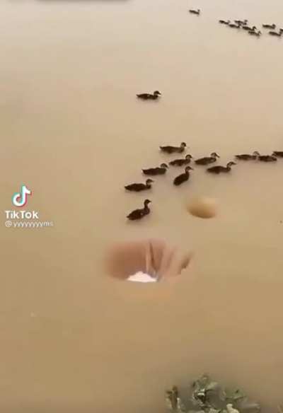 Woooooooo