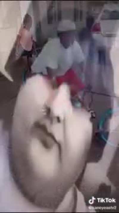 السياق أنا القرف على كل 🤯🤯🤯🤯🤯🤑🤑🤑🤑