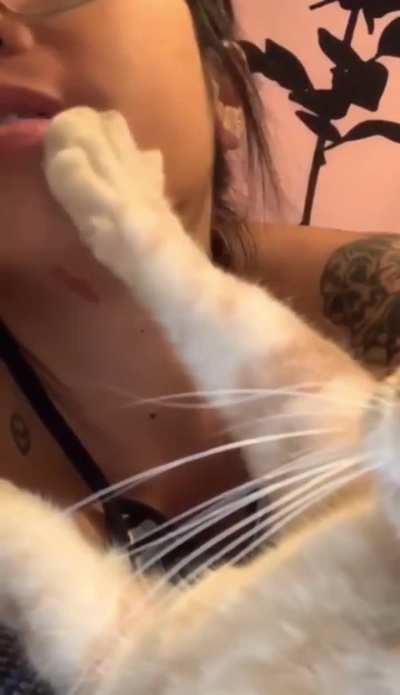 Perfectly cut cat 