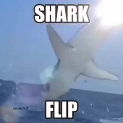 Wooooooooi