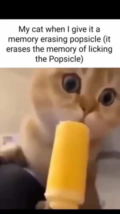 rule