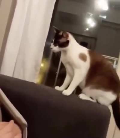 I&rsquo;m not scared of youuuuu