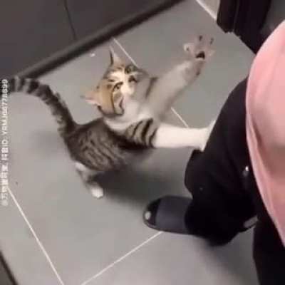 WCGW trying to get some ham.
