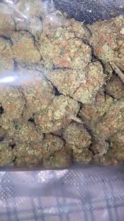 Is this mids?