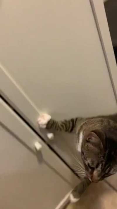 Asking for some treats before be&mdash;