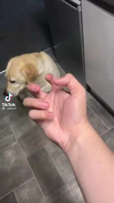 Za Hando!