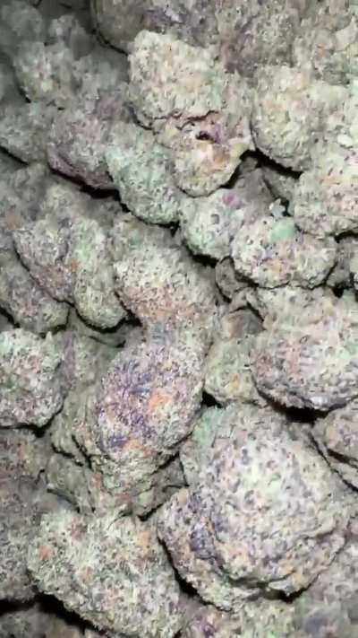 Gushers
