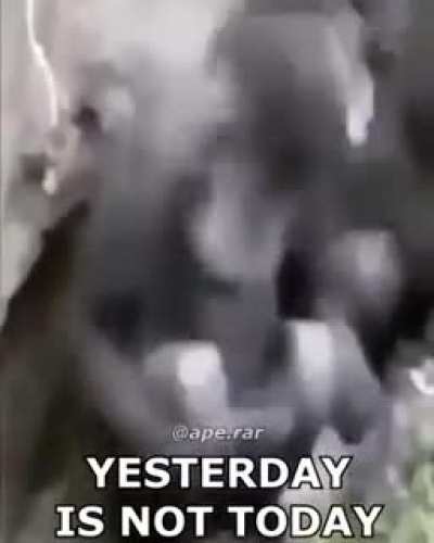 song Yesterday