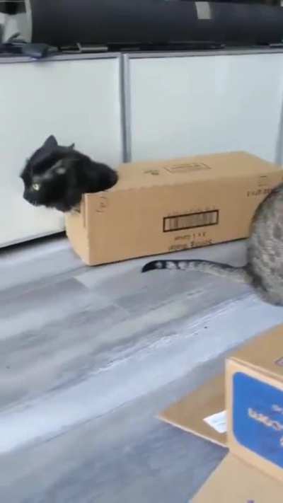Nothing to see here&hellip; move along
