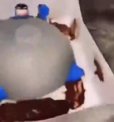 donut