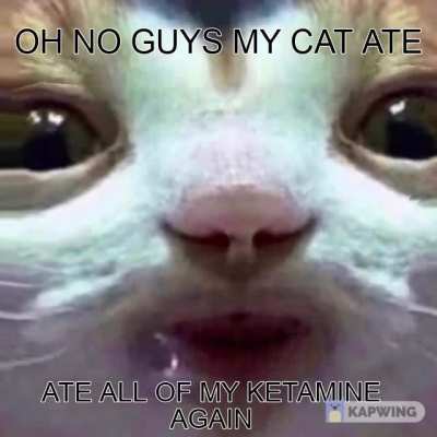 oh no not again