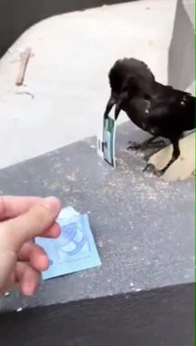 Birdie got rob!! Not a good trade at all!