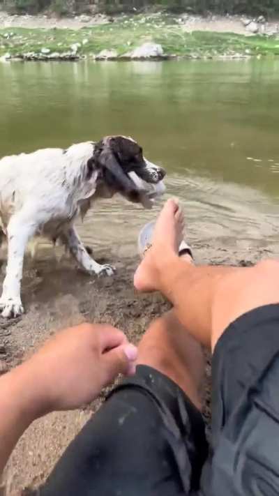 Buddy was almost about to say "throw ittt"