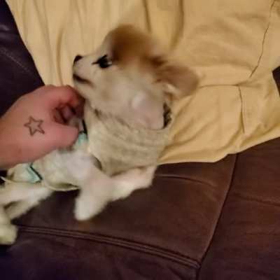 She said: No!