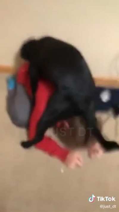 The dog is having &ldquo;fun&rdquo;
