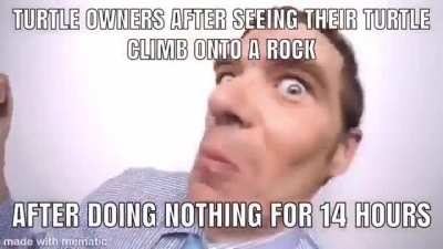 Title