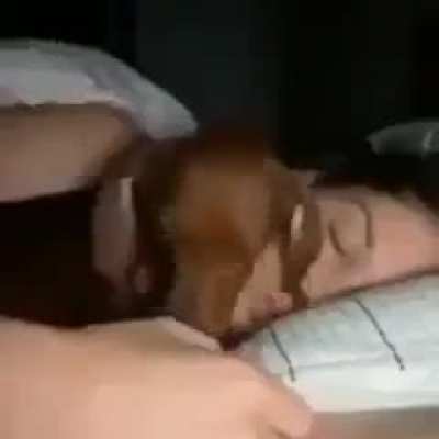 duerme un poco