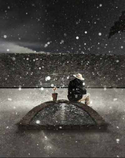 Winter - Afshin Moghaddam