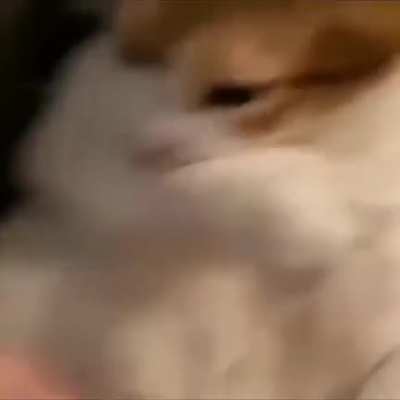 What&rsquo;s the name of this anime pt2
