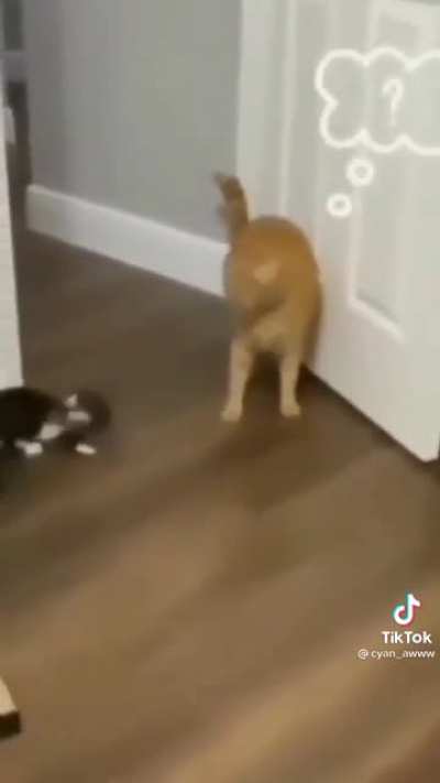 &ldquo;Are you okay Annie ?&rdquo;