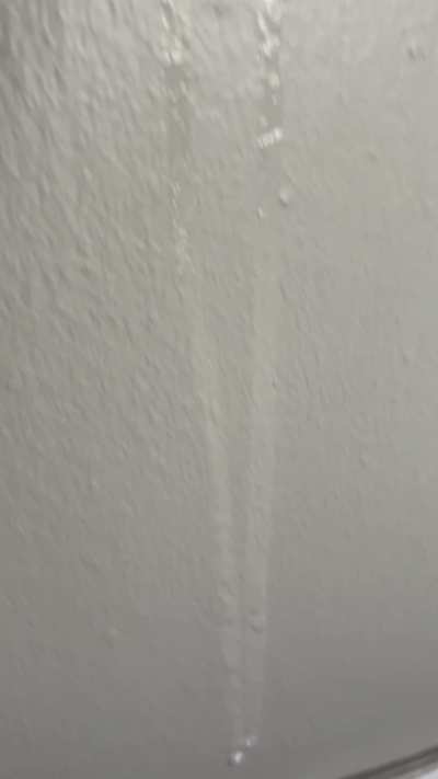 [26] Painting the walls