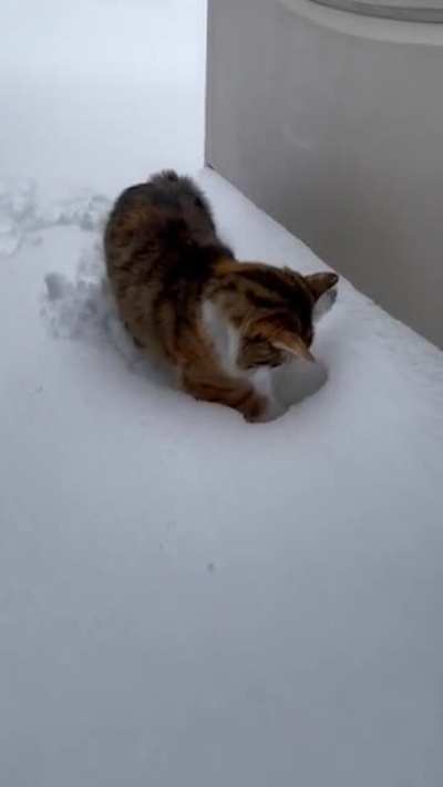 She loves snow