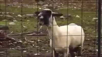 Efsaneyi hatırlayalım :)