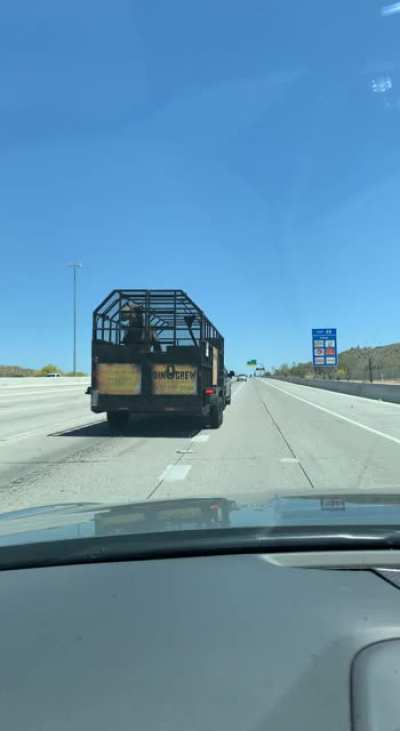 Now that&rsquo;s something you don&rsquo;t see everyday.