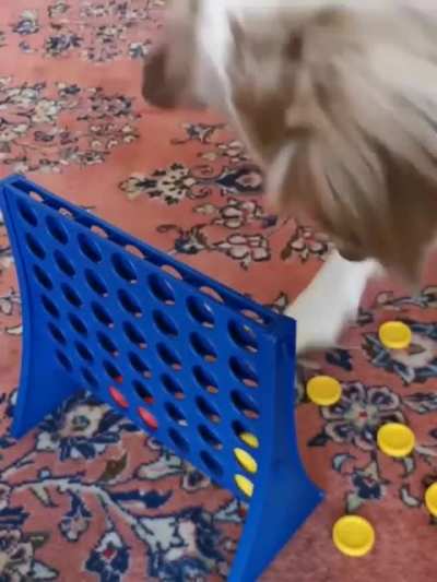 You blocked me! I won&rsquo;t play anymore!
