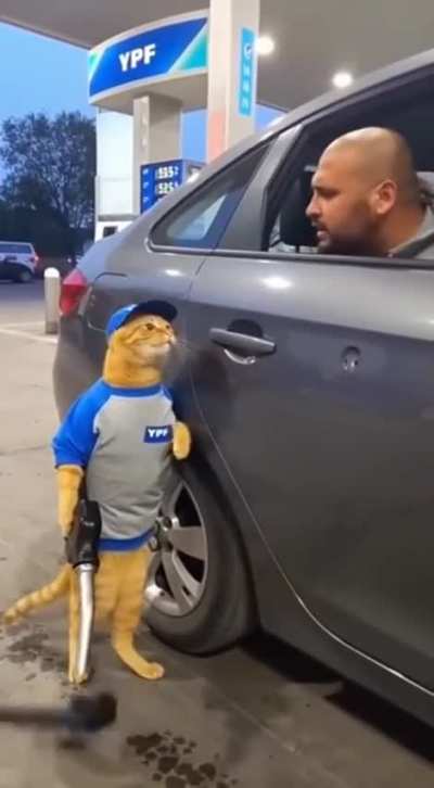 Para esto se cre&oacute; la IA