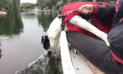 Alfie&rsquo;s first boat trip derp