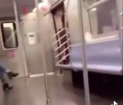 Seen a butterfly on a train !
