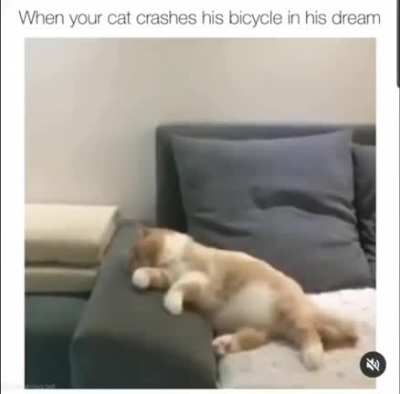 Day dreaming