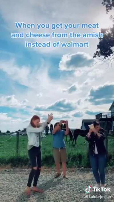 Just don&rsquo;t buy any puppies from the Amish