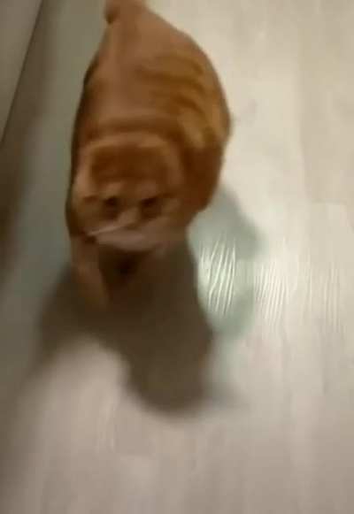 Surprise attack!