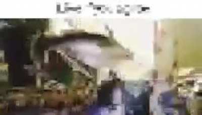fish video