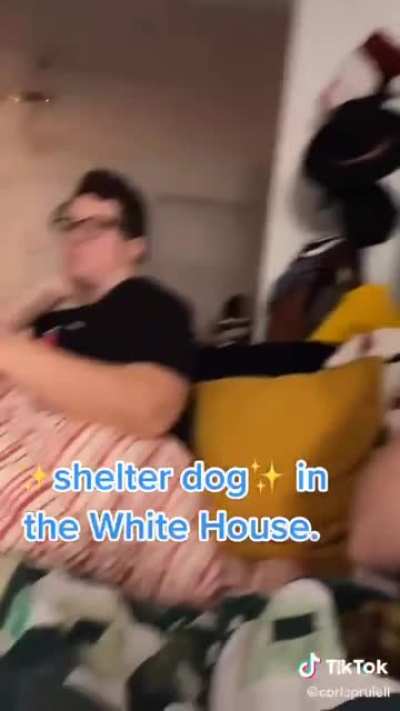 From the Shelter to the White House