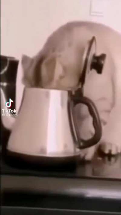 База, ответьте