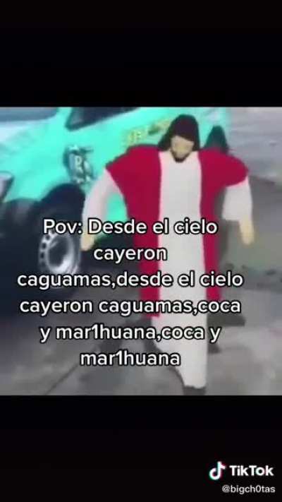 Desde el sielo cayeron kaguamas