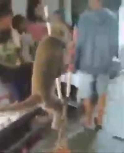 Tu tu tu tu tu 🎶