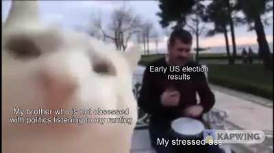 I did not anticipate being so stressed