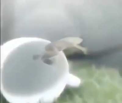 ?????