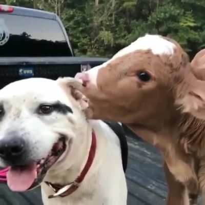 We&rsquo;re all friends here
