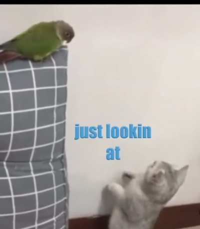 Hey Bob&hellip; what&rsquo;s up?